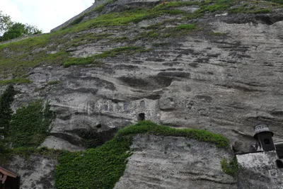 DSC_6355 (Large).JPG